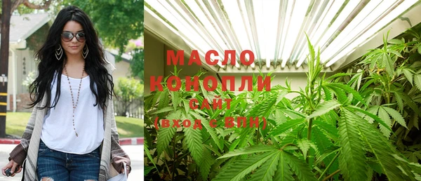 мдпв Осташков