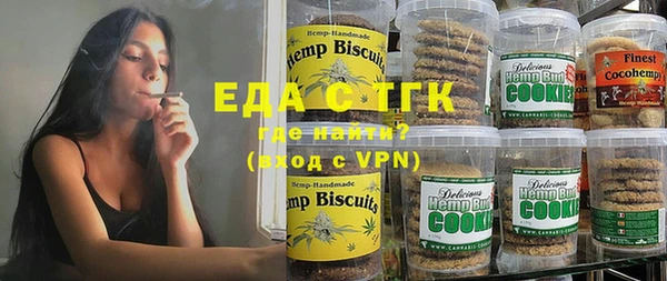 мдпв Осташков