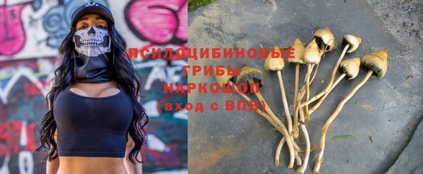 марихуана Болотное