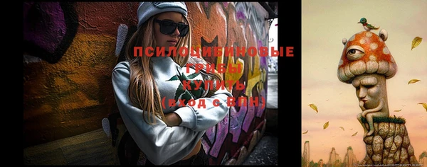 мдпв Осташков